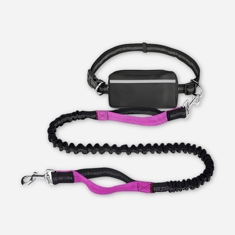 Collars & Leashes