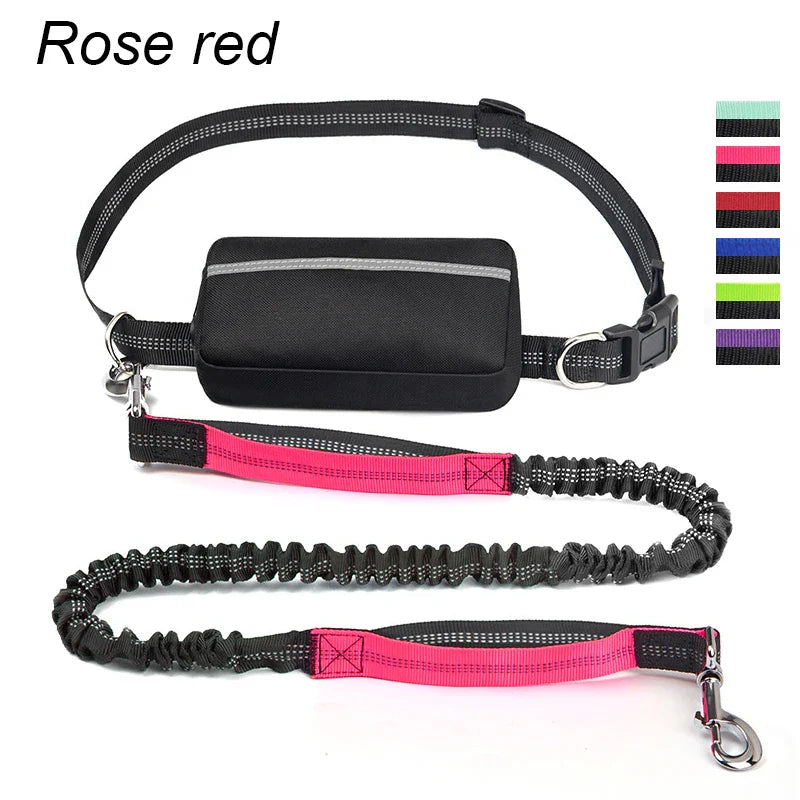 FreeStride™ – The Hands-Free Dog Leash For Stress-Free Walks