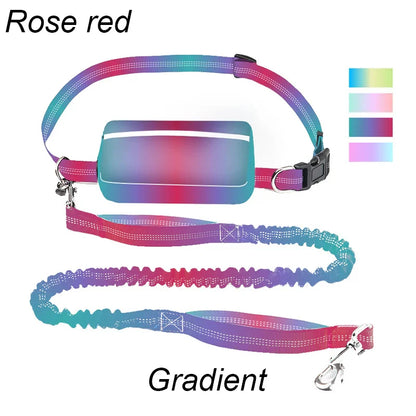 FreeStride™ – The Hands-Free Dog Leash For Stress-Free Walks