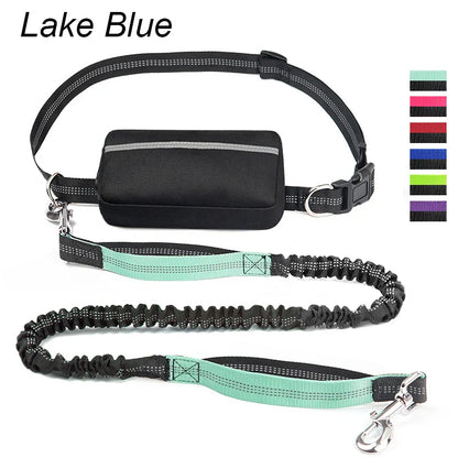 FreeStride™ – The Hands-Free Dog Leash For Stress-Free Walks